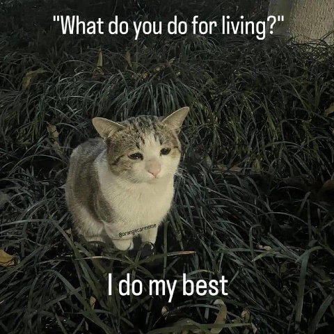 “What you for living? my best