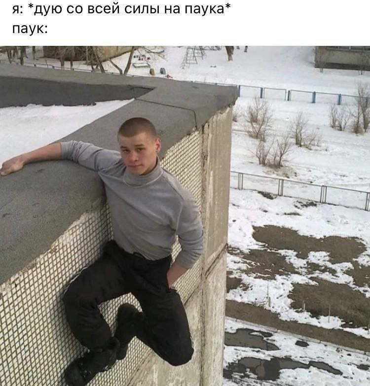 я: *дую всей силы на паука* паук: у a a. a i а i у. 4495 46494!