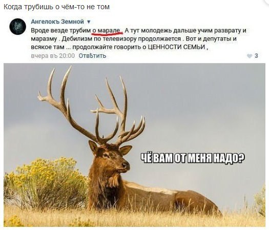Когда трубишь о чём-то не том Ангелокъ Земной у Вроде везде трубим о марале., А тут молодежь дальше учим разврату и маразму Дебилизм по телевизору продолжается Вот и депутаты и всякое там продолжайте 