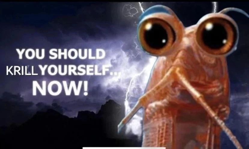 YOU SHOULD KRILLYOURSEE NOW! aN