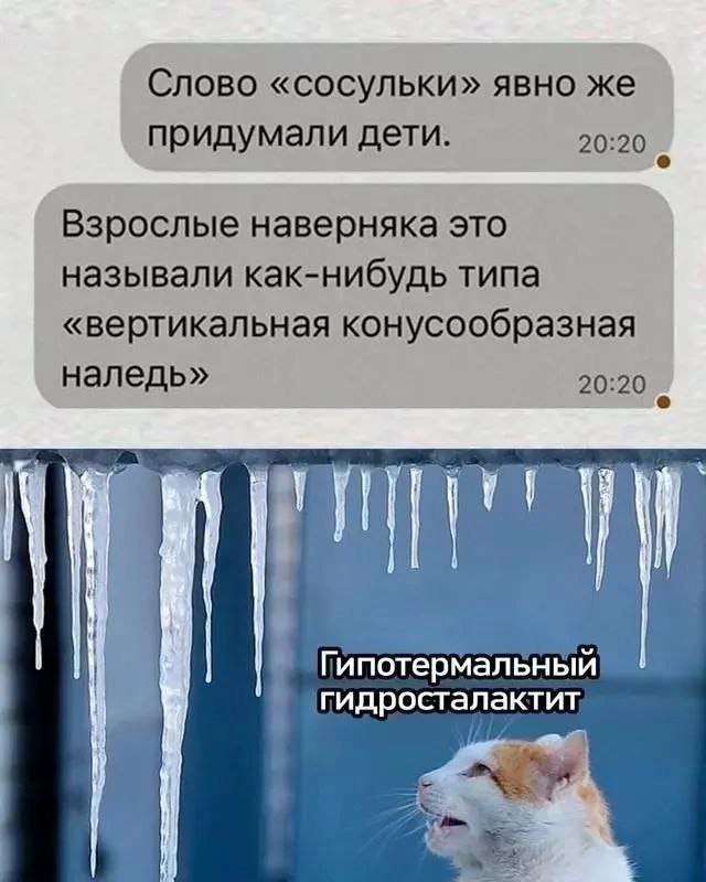 Слово «сосульки» явно же придумали дети. 20:20 Взрослые наверняка это называли как-нибудь типа «вертикальная конусообразная наледь» 20:20 гипотермальный гидросталактит 3
