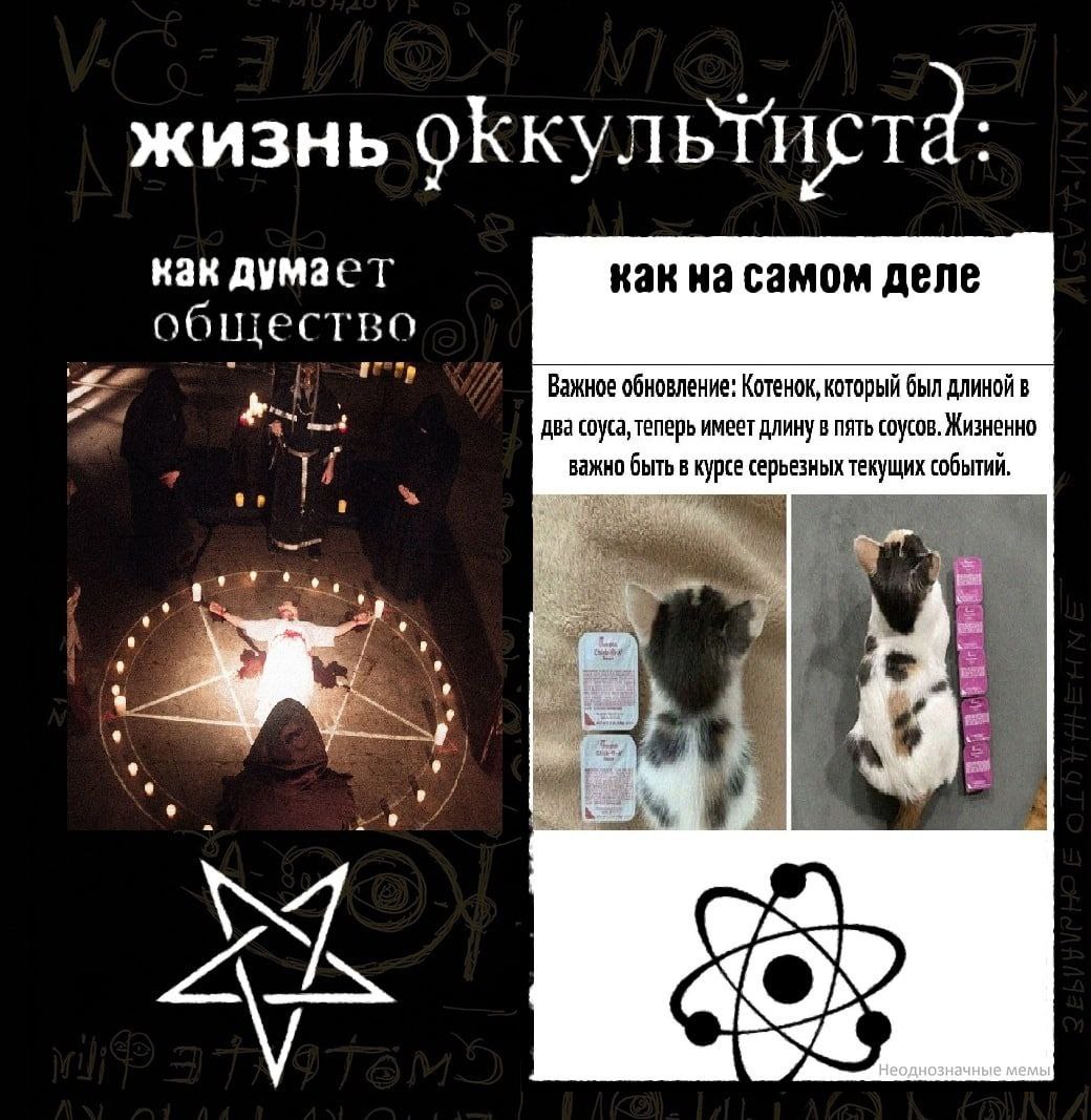 жизнь как думает как на самом деле общество a Важное обновление: Котенок, который был длиной в два соуса, теперь имеет длину в пять соусов. Жизненно 4 важно быть в курсе серьезных текущих событий, а 4
