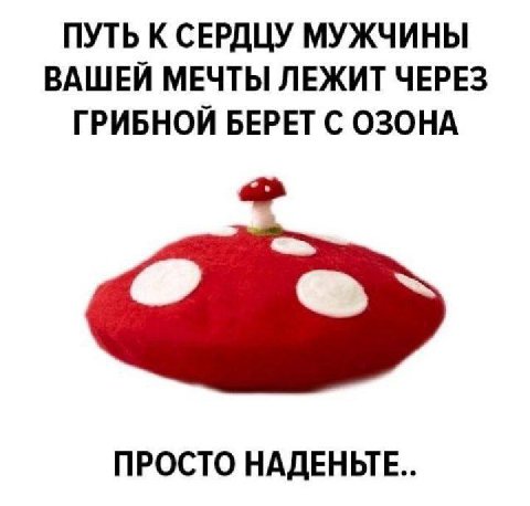 ПУТЬ К СЕРДЦУ МУЖЧИНЫ ВАШЕЙ МЕЧТЫ ЛЕЖИТ ЧЕРЕЗ ГРИБНОЙ БЕРЕТ С ОЗОНА ПРОСТО НАДЕНЫЕ..