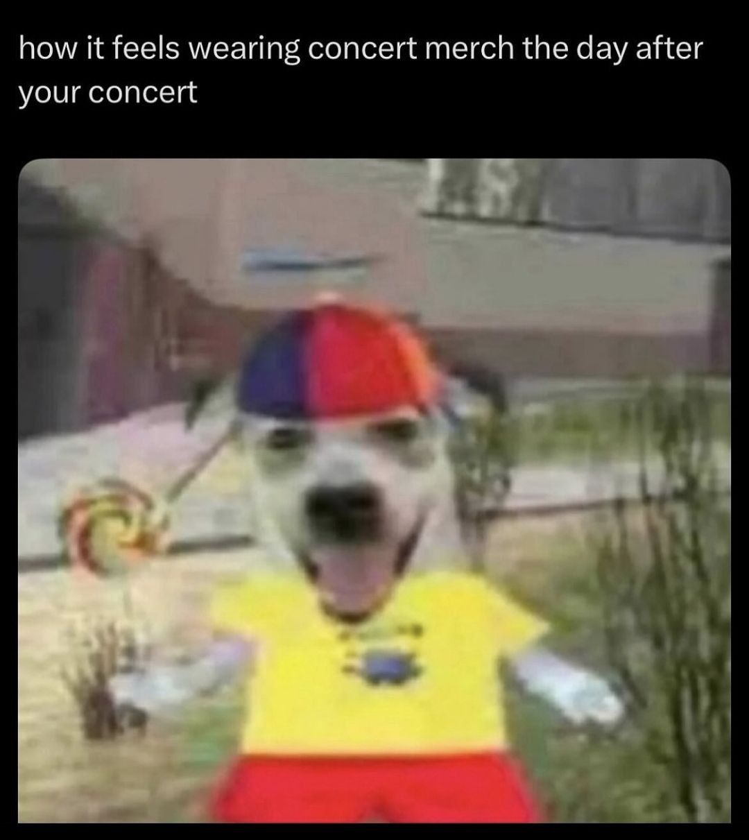 how it feels wearing concert merch the day after your concert 3