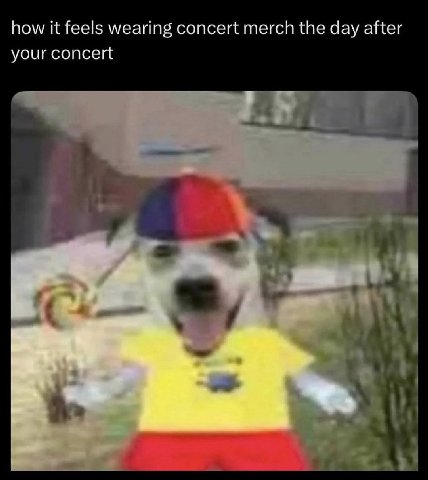 how it feels wearing concert merch the day after your concert 3