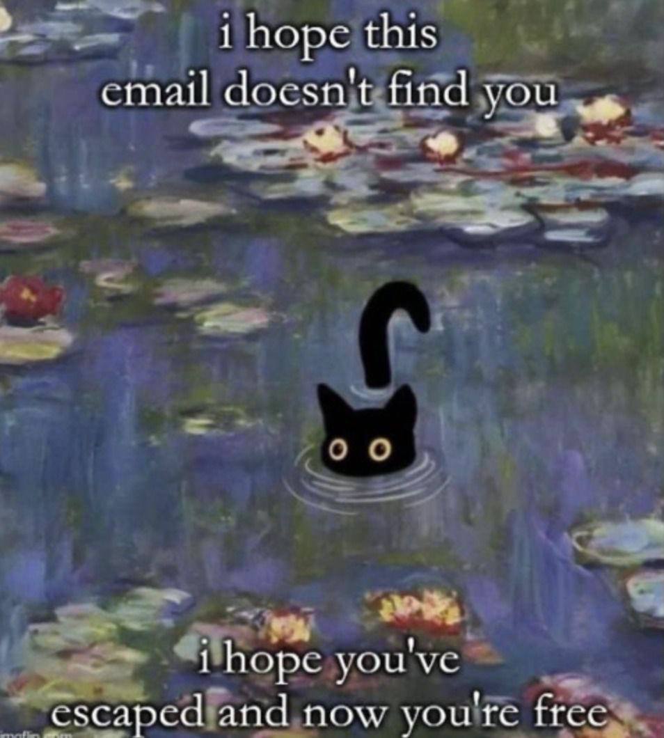 1 hope this email doesn find you you now