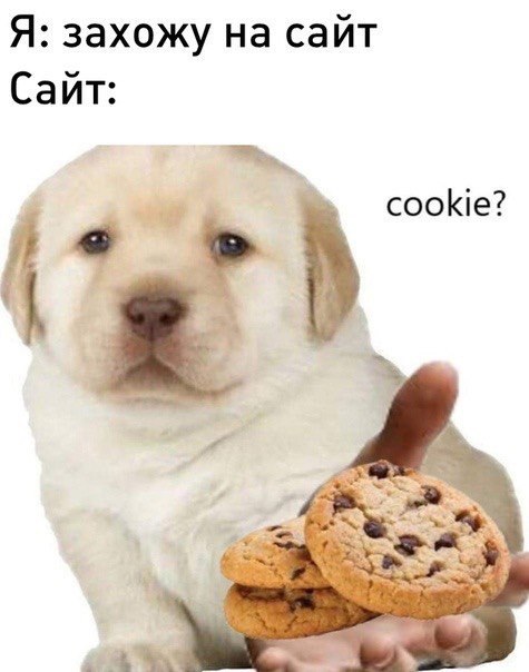 Я: захожу на сайт Сайт: cookie? (4