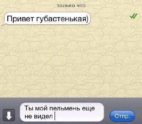 только что Привет Ты мой пельмень еще не видел Отпр.