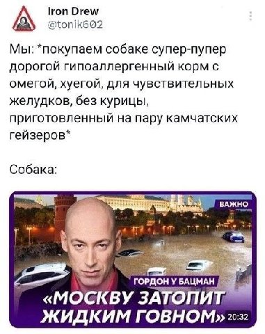 гоп Drew Мы: *покупаем собаке супер-пупер дорогой гипоаллергенный корм с омегой, хуегой, для чувствительных желудков, без курицы, приготовленный на пару камчатских гейзеров* Собака: ГОРДОН У БАЦМАН «М