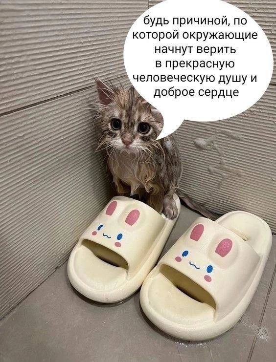 будь причиной, по которой окружающие начнут верить в прекрасную человеческую душу и доброе сердце