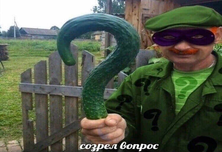 созрел вопрос