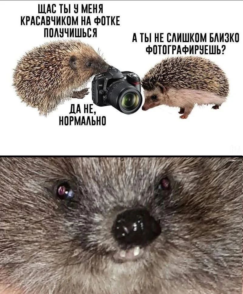 ЩАС ТЫ У МЕНЯ КРАСАВЧИКОМ НА ФОТКЕ АТЫ НЕ СЛИШКОМ БЛИЗКО SSS ФОТОГ SSS tip) в. 2774 у DLA HE НОРМАЛЬНО 1% iif