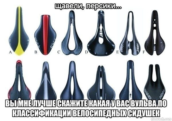 $14 МВАСВУЛЬВА ПО КЛАССИФИКАЦИИ