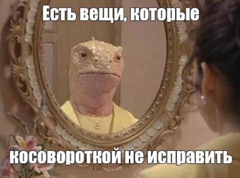 Есть вещи, которые косовороткой не исправить