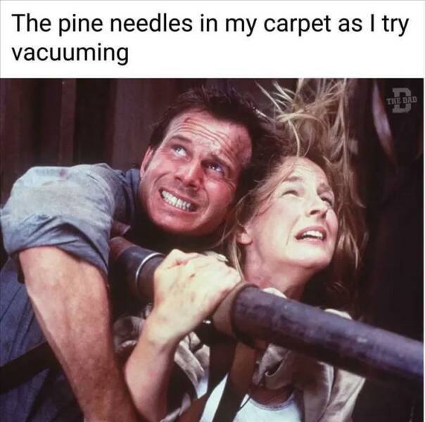 The pine needles in my carpet as try vacuuming