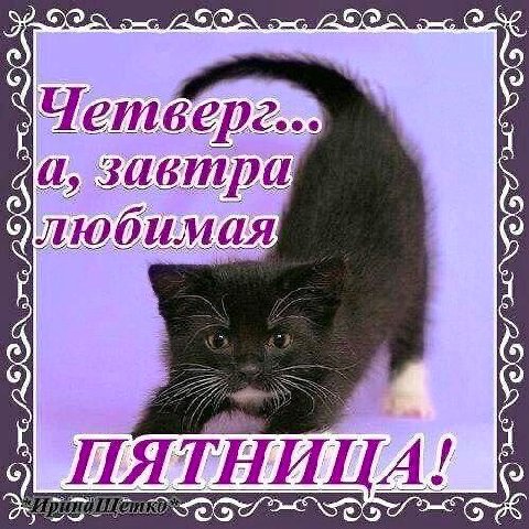 5\ а, завтра любимая ТНИЦА