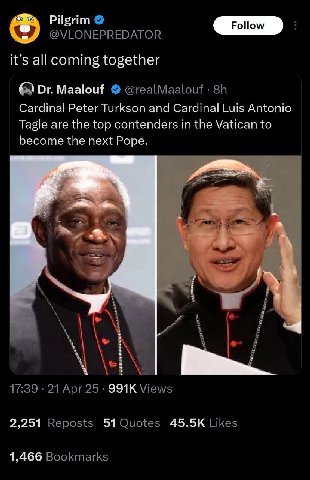 Pilgrim @VLONEPREDATOR it’s all coming together Maalouf @realMaalouf Cardinal Peter Turkson and Cardinal Luis Antonio Tagle are the top contenders in the Vatican to become the next Pope. 5 17:39 21 Ар