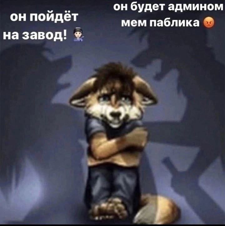он будет админом он пойдёт мем паблика на завод!