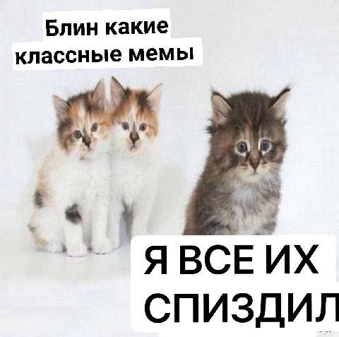 Блин какие классные мемы 4 ЯВСЕИХ СПИЗДИЛ