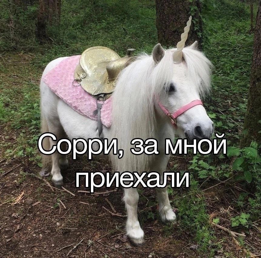 a 4 Ger an 4 за мной Oppy, приехали