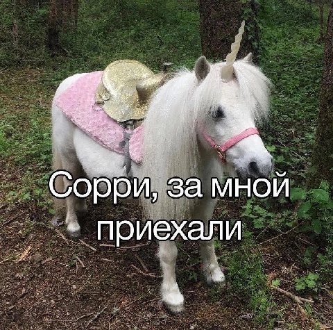 a 4 Ger an 4 за мной Oppy, приехали