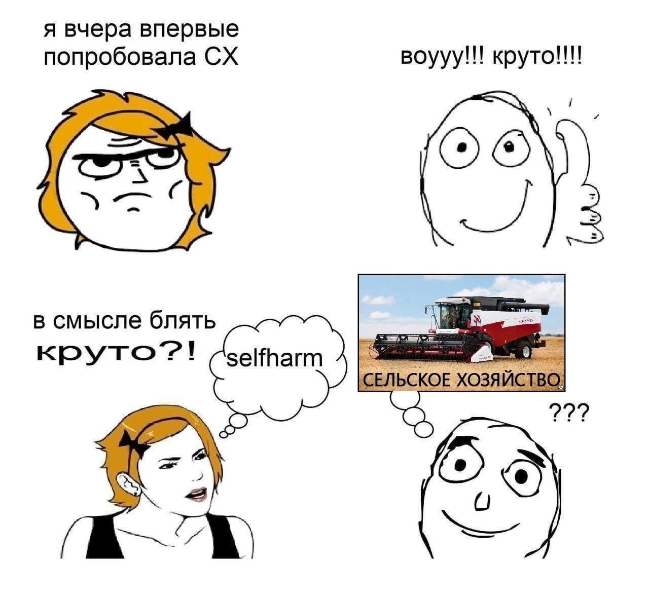 я вчера впервые попробовала Boyyy!!! круто!!! в смысле блять круто?! [СЕЛЬСКОЕ ХОЗЯЙСТВО] Or а
