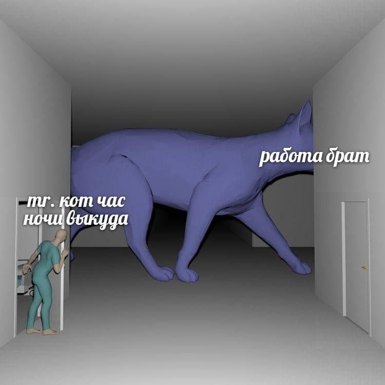 работа брат кот час ночи