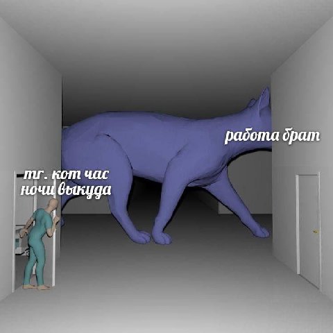 работа брат кот час ночи