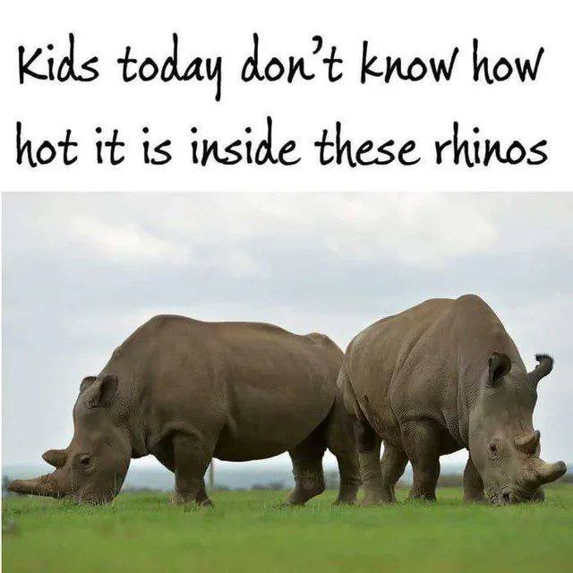 Kids today dowt know how hot it is inside these rhinos