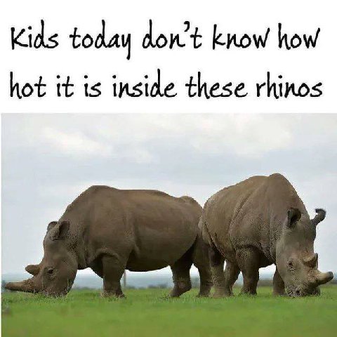 Kids today dowt know how hot it is inside these rhinos