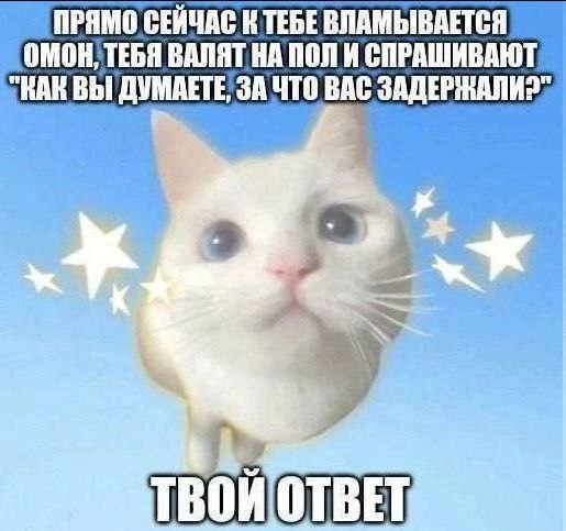 ВЛАМЫВАЕТСЯ BANAT, НАПОЛИ СПРАШИВАЮТ ЧТО ВАС