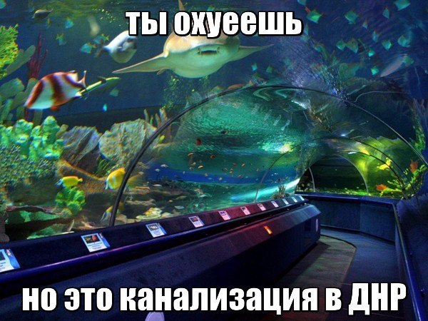 это канализация в ДНР