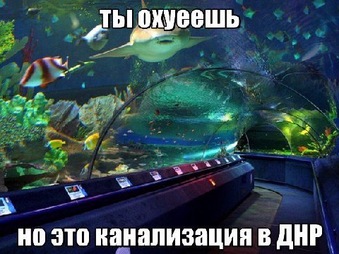 это канализация в ДНР