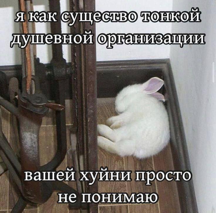 я Как существо тонкой организации 4 вашей хуини просто не понимаю 3 5.
