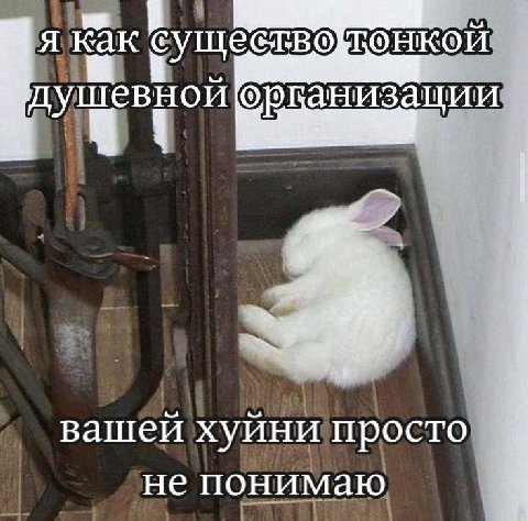 я Как существо тонкой организации 4 вашей хуини просто не понимаю 3 5.