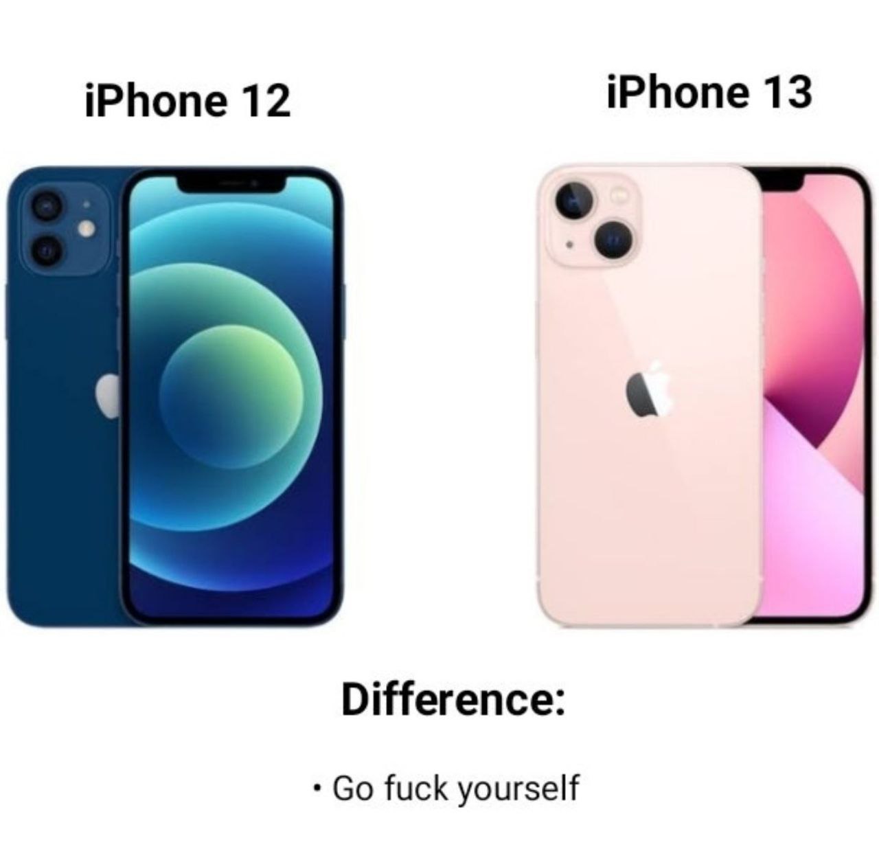 iPhone 12 iPhone 13 Difference: fuck yourself