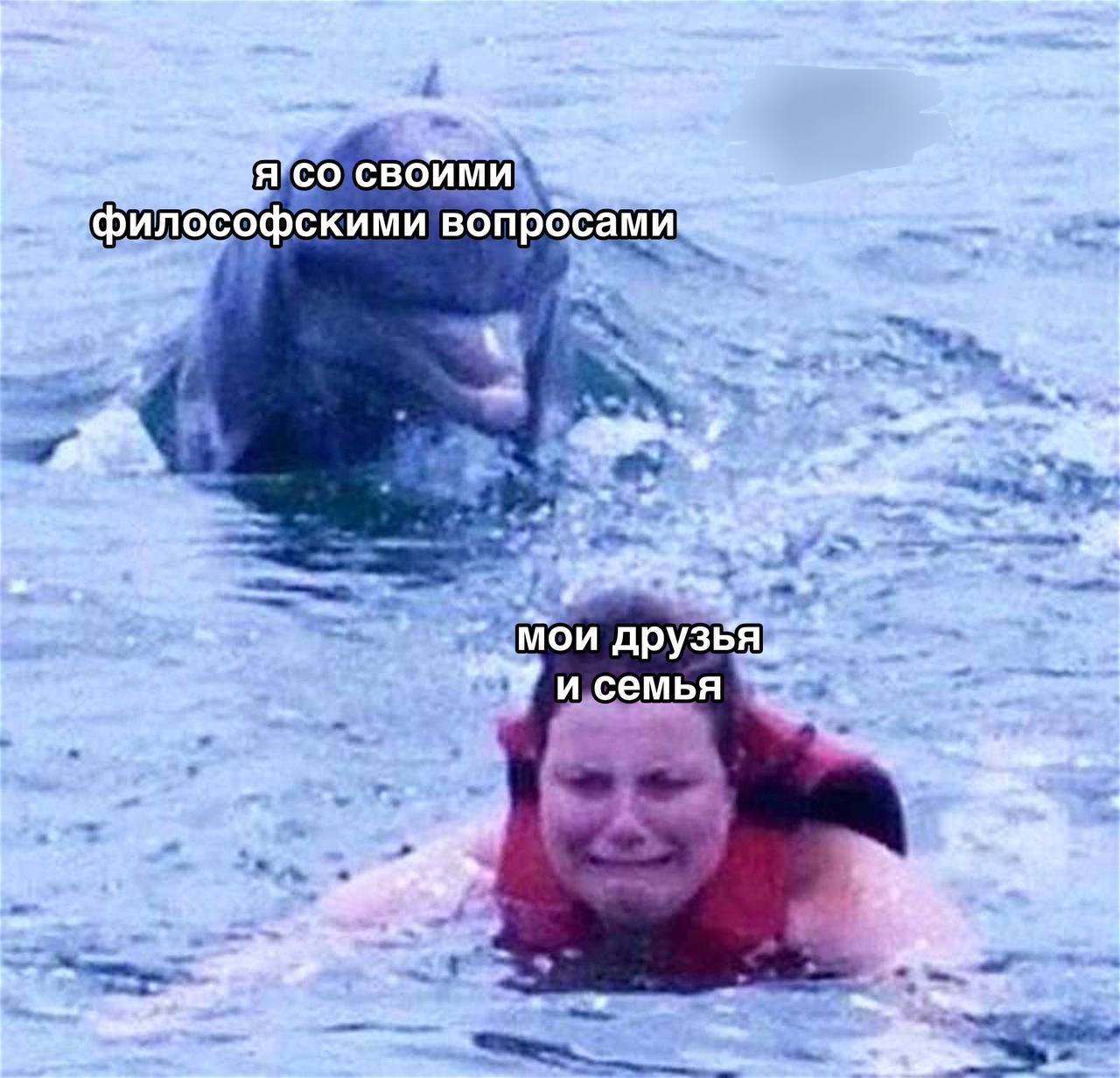 философскими вопросами А мои Apy3bA