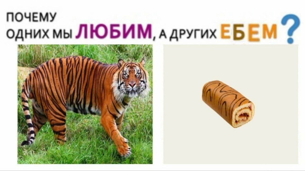 ПОЧЕМУ одних Мы ЛЮБИМ, А ДРУГИХ ЕБЕ ,6 2 i“