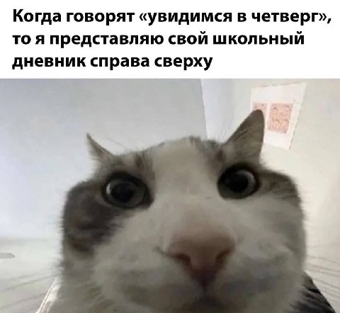 Когда говорят «увидимся в четверг», то я представляю свой школьный дневник справа сверху