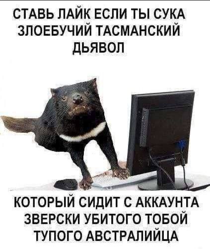 СТАВЬ ЛАЙК ЕСЛИ ТЫ СУКА ЗЛОЕБУЧИЙ ТАСМАНСКИЙ ДЬЯВОЛ КОТОРЫЙ СИДИТ С АККАУНТА ЗВЕРСКИ УБИТОГО ТОБОЙ ТУПОГО АВСТРАЛИЙЦА