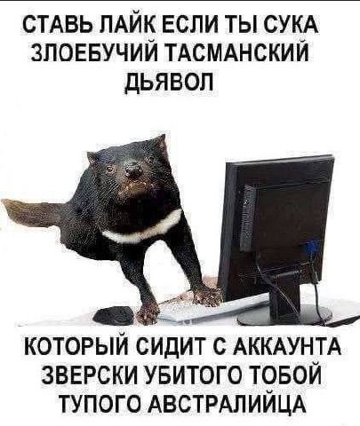 СТАВЬ ЛАЙК ЕСЛИ ТЫ СУКА ЗЛОЕБУЧИЙ ТАСМАНСКИЙ ДЬЯВОЛ КОТОРЫЙ СИДИТ С АККАУНТА ЗВЕРСКИ УБИТОГО ТОБОЙ ТУПОГО АВСТРАЛИЙЦА