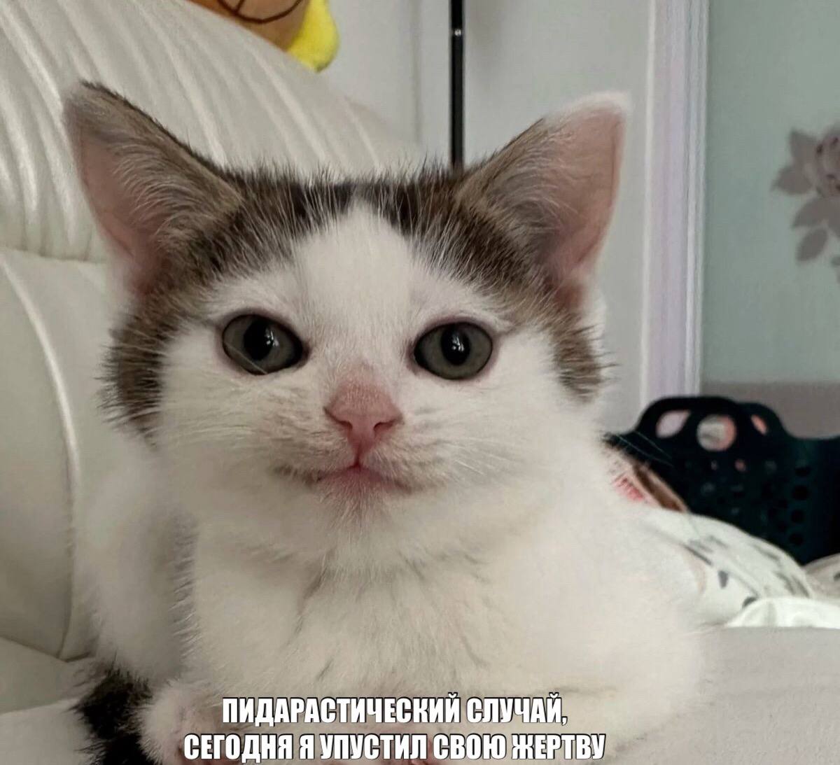ПИДАРАСТИЧЕСКИЙ СЛУЧАЙ, СЕГОДНЯ Я УПУСТИЛ СВОЮ ЖЕРТВУ