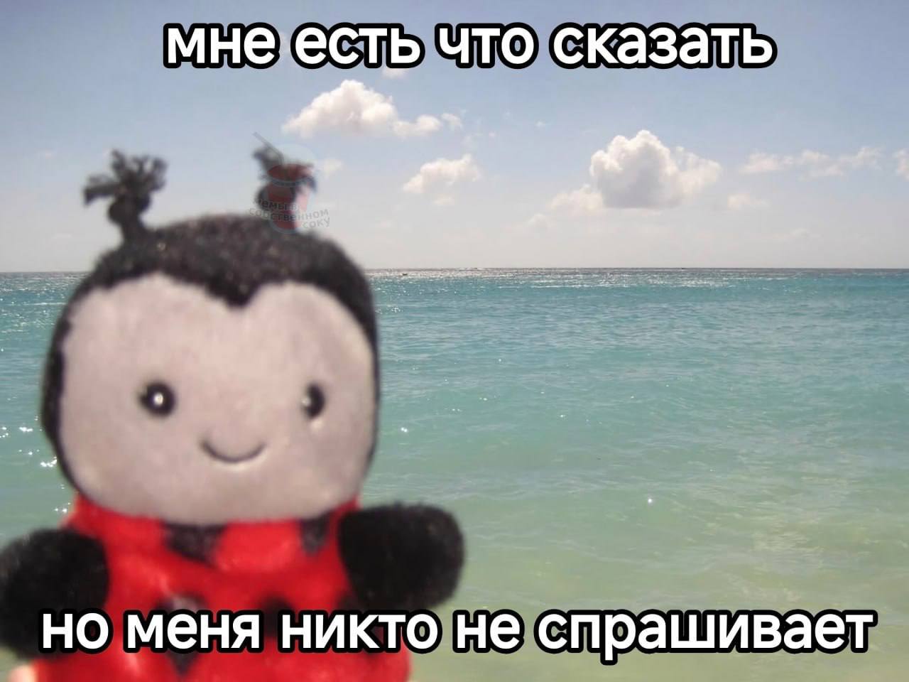 мне есть что сказать меня никто не спрашивает
