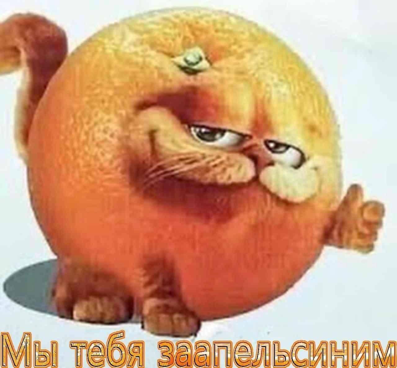 maAg
