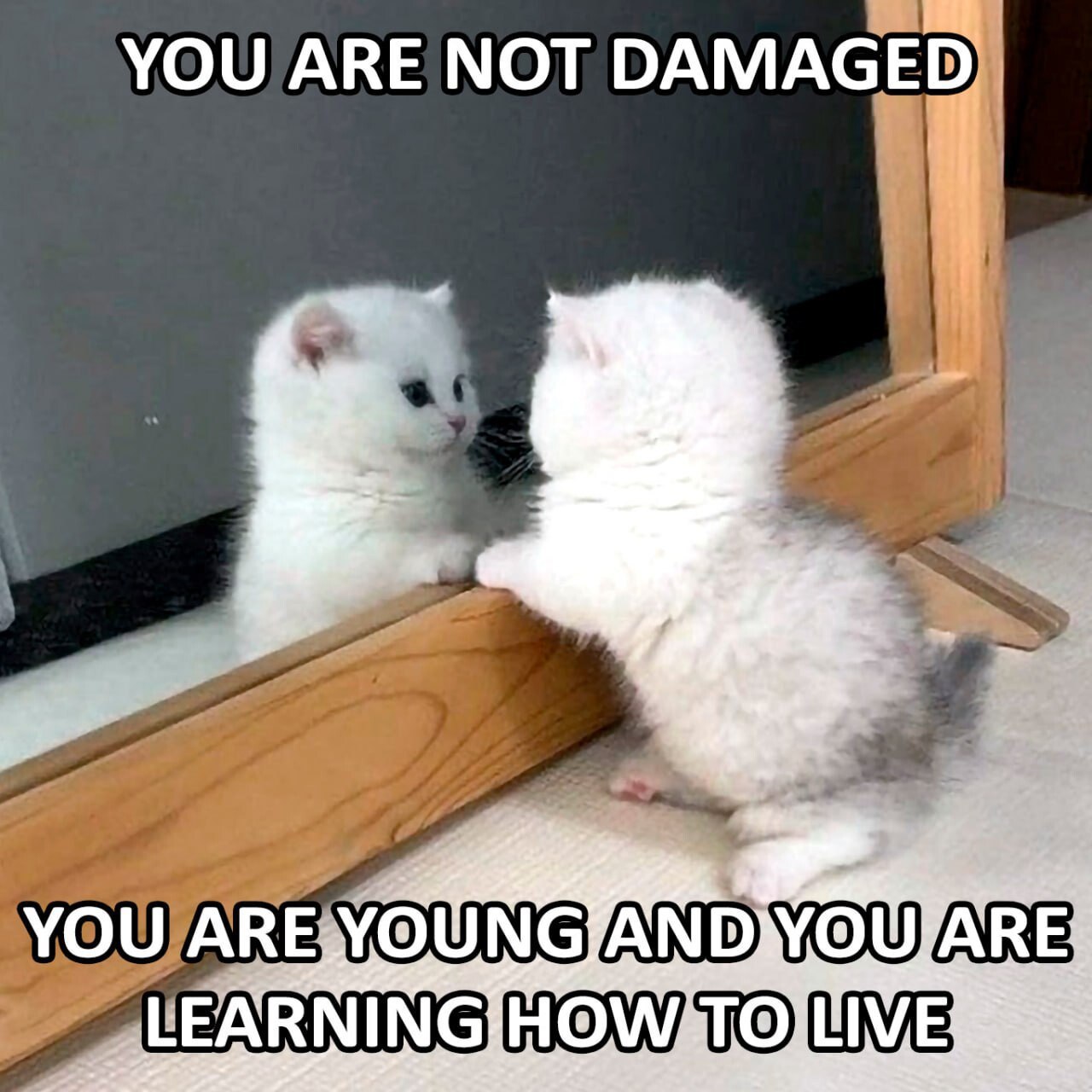 YOU АВЕ NOT DAMAGED YOU АВЕ