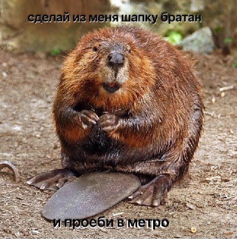 лаи изме я wan я у А 27 i 297 ‘At