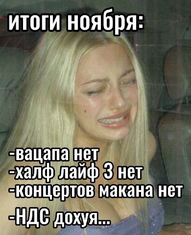 итоги ноября: -вацапа нет -халф лайф 3 нет концертов макана нет дохуя...