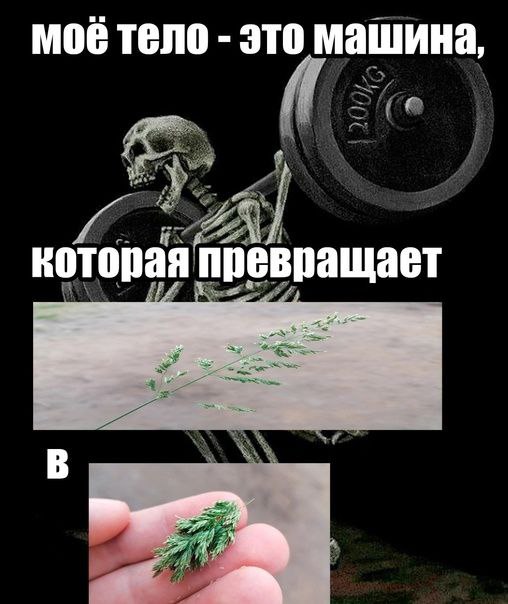 моётело это машина, которая превращает