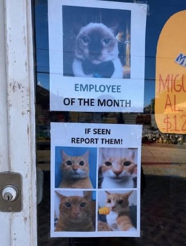 EMPLOYEE OFTHEMONTH IF SEEN REPORT THEM!