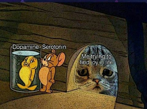 Dopamine Serotonin Me trying to find joy life